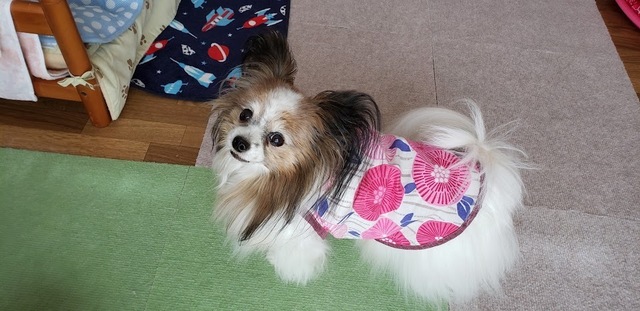 20190728_143028.jpg