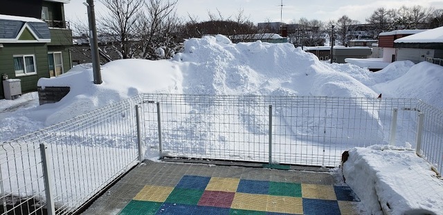 20240204_113300.jpg