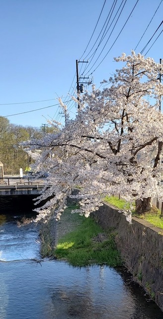 20240501_163740.jpg