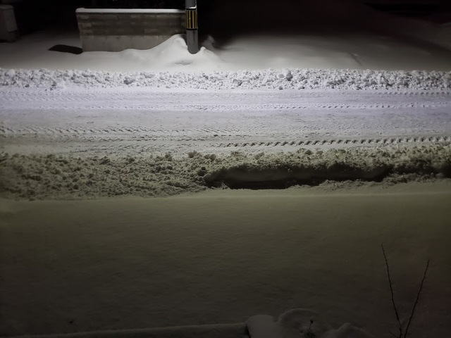 20250130_035651.jpg