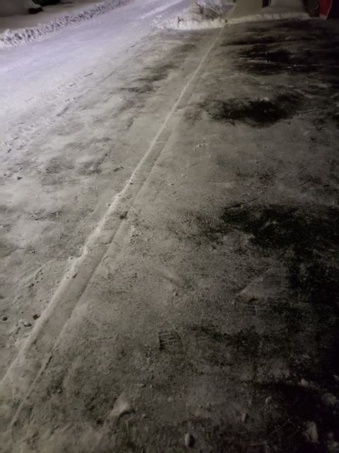 20250130_044632.jpg
