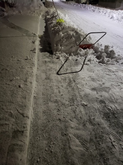 20250131_035610.jpg