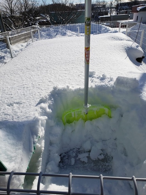 20250201_101325.jpg
