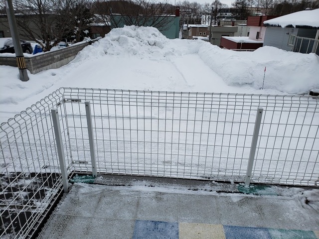 20250205_095402.jpg