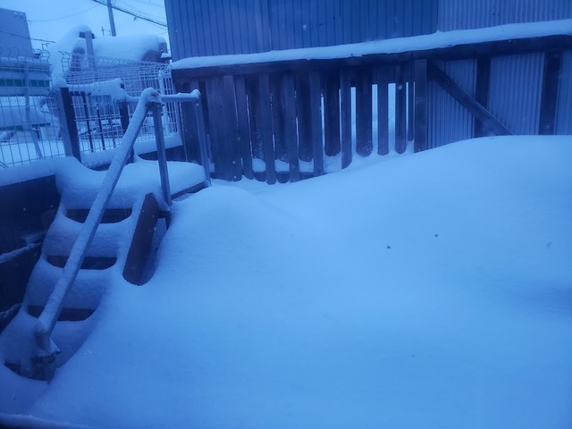 20250211_170418.jpg