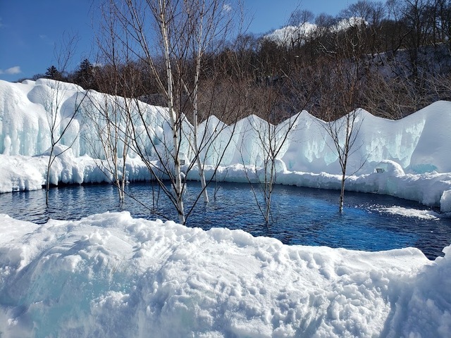 20250220_132015.jpg