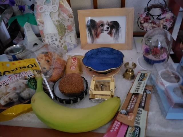 20250222_171940.jpg