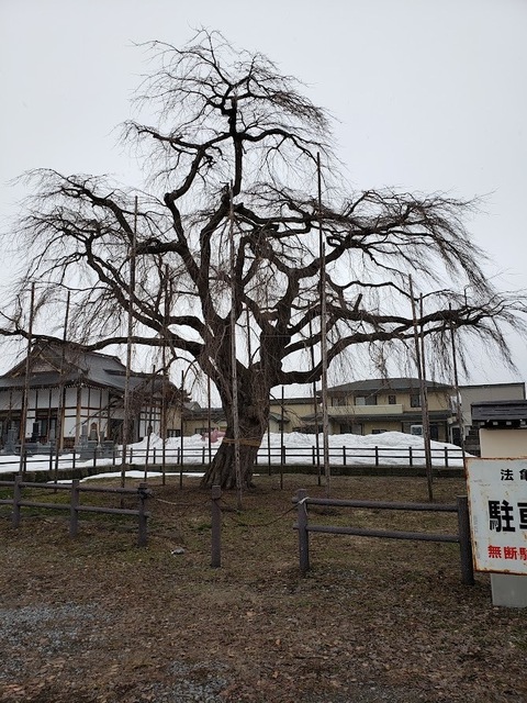 20250318_161756.jpg